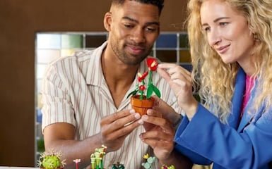 LEGO Icons 10329 Miniplantjes LEGO Icons 10329 Miniplantjes