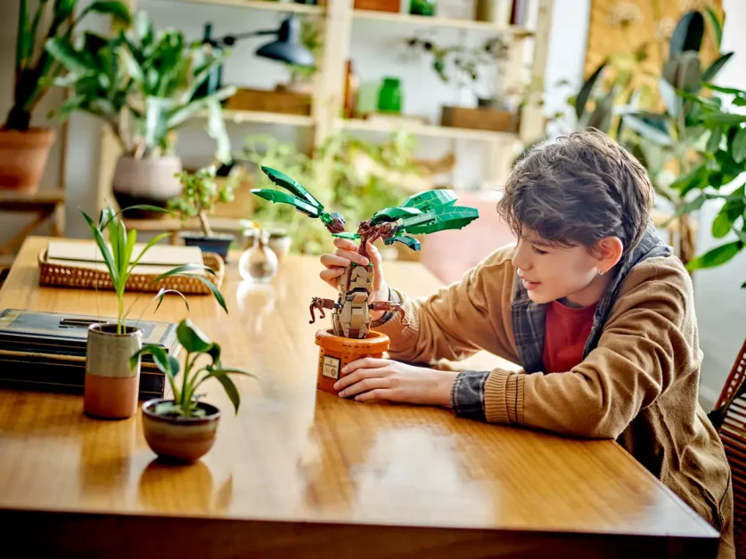 LEGO Harry Potter sets juni 2024