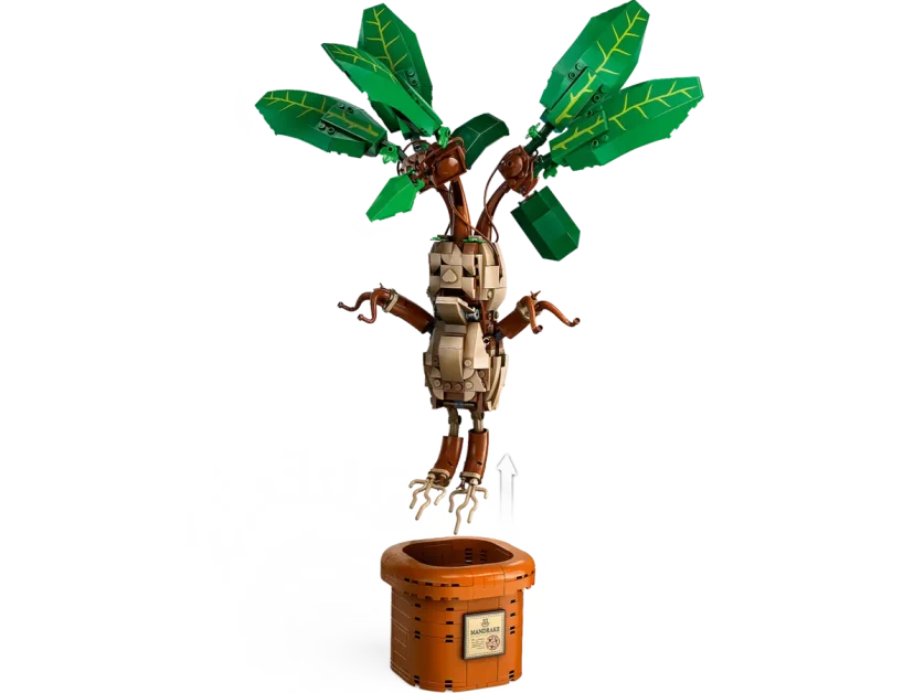 LEGO Harry Potter sets juni 2024